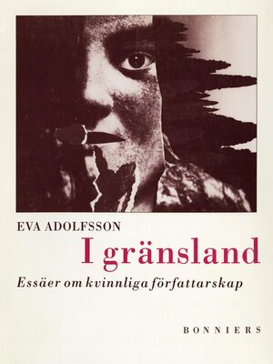 cover image of I gränsland